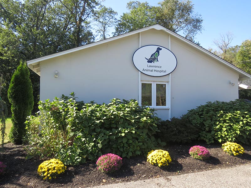 veterinary clinic in Princeton