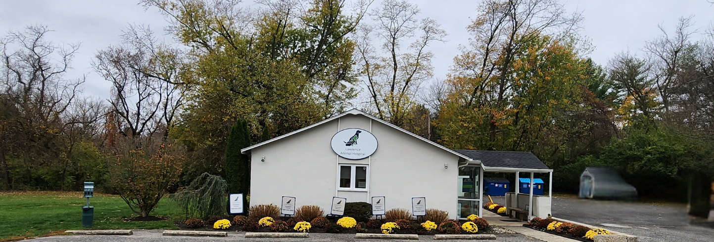 Princeton veterinarians