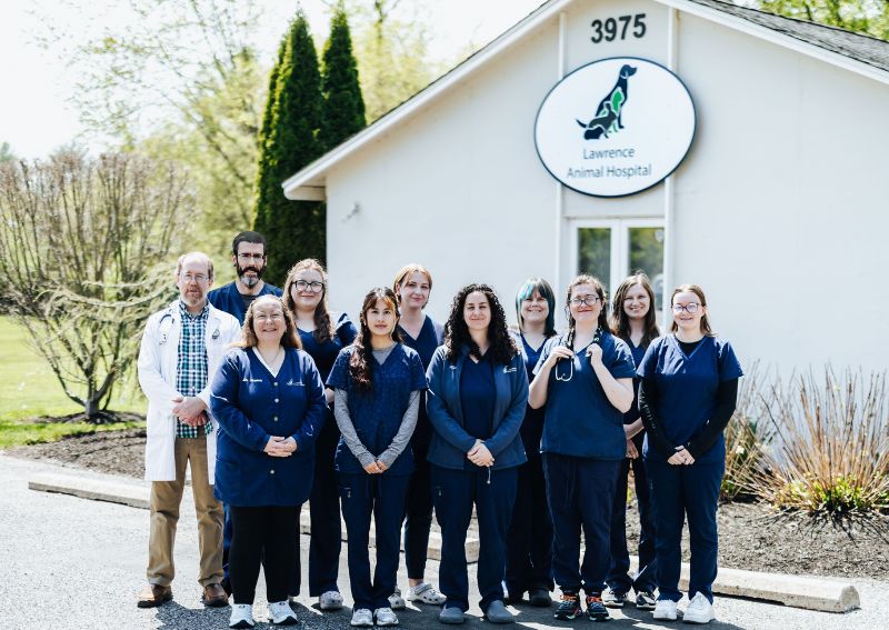 animal hospital in Princeton
